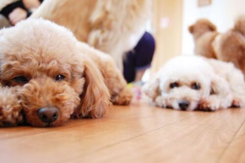 Translation missing: ja.board.image.alt.https: