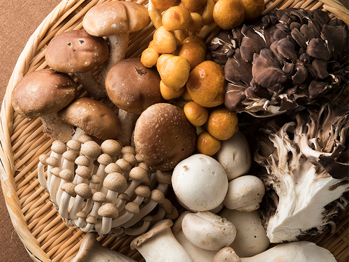 Translation missing: ja.board.image.alt.https: