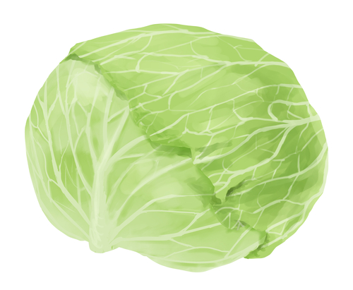 Translation missing: ja.board.image.alt.https: