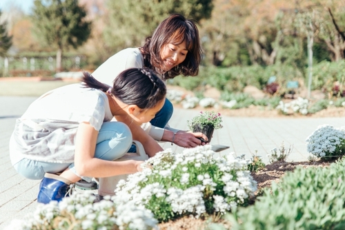 Translation missing: ja.board.image.alt.https: