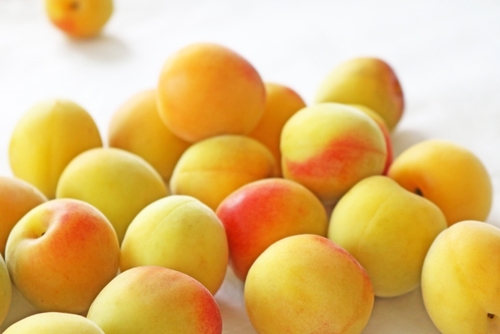 Translation missing: ja.board.image.alt.https: