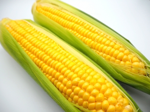 Translation missing: ja.board.image.alt.https: