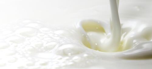 Translation missing: ja.board.image.alt.https: