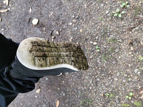 Translation missing: ja.board.image.alt.https: