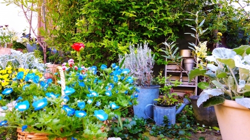 Translation missing: ja.board.image.alt.https: