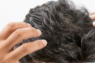 Translation missing: ja.board.image.alt.https: