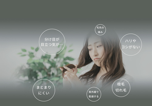 Translation missing: ja.board.image.alt.https: