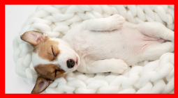 Translation missing: ja.board.image.alt.https: