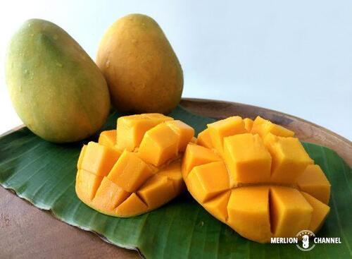 Translation missing: ja.board.image.alt.https: