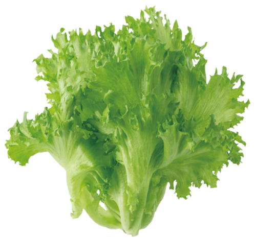 Translation missing: ja.board.image.alt.https: