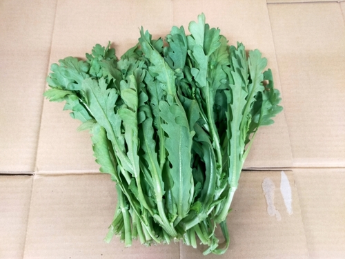 Translation missing: ja.board.image.alt.https: