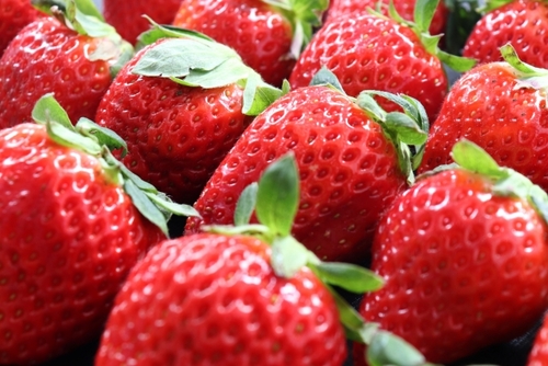 Translation missing: ja.board.image.alt.https: