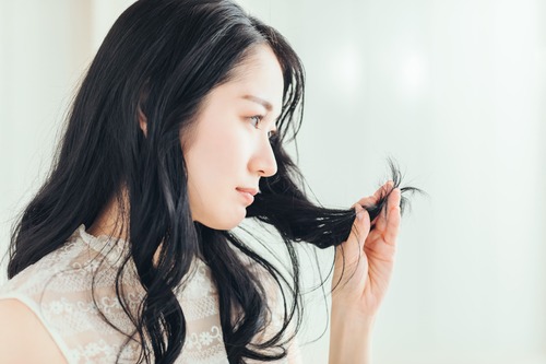 Translation missing: ja.board.image.alt.https: