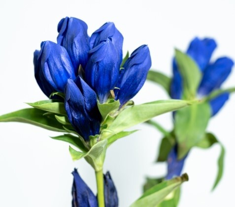 Translation missing: ja.board.image.alt.https: