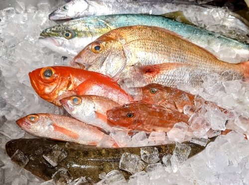 Translation missing: ja.board.image.alt.https: