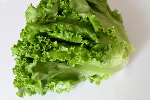 Translation missing: ja.board.image.alt.https: