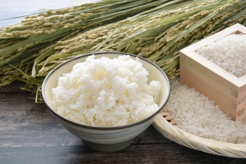 Translation missing: ja.board.image.alt.https: