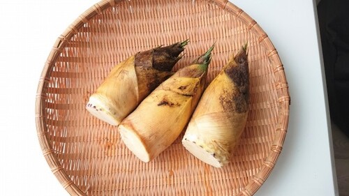 Translation missing: ja.board.image.alt.https: