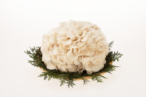 Translation missing: ja.board.image.alt.https: