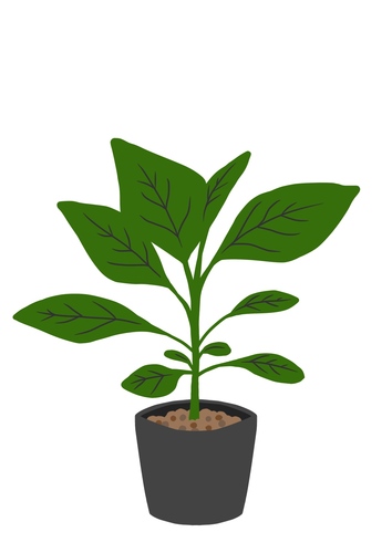 Translation missing: ja.board.image.alt.https: