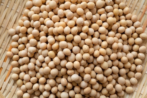 Translation missing: ja.board.image.alt.https: