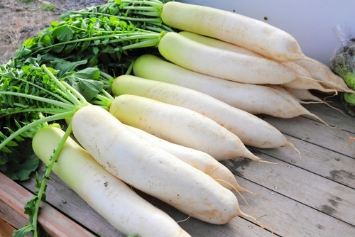 Translation missing: ja.board.image.alt.https: