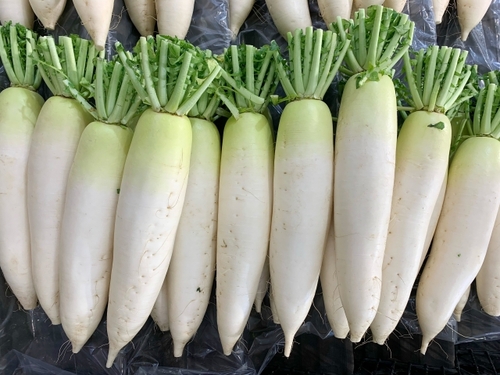 Translation missing: ja.board.image.alt.https: