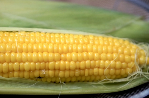 Translation missing: ja.board.image.alt.https: