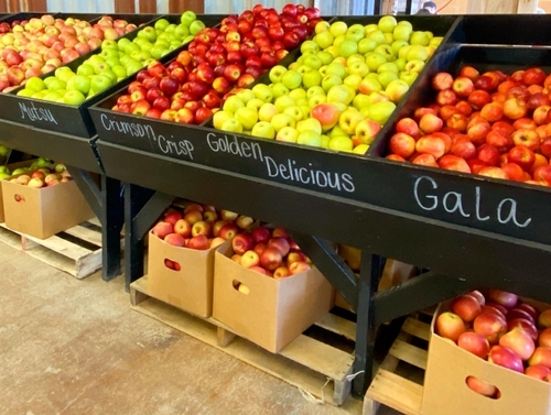 Translation missing: ja.board.image.alt.https: