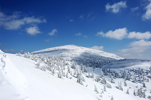 Translation missing: ja.board.image.alt.https: