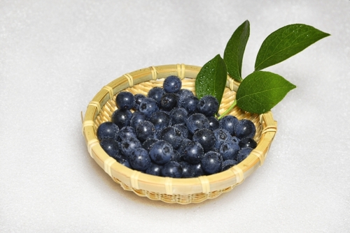 Translation missing: ja.board.image.alt.https: