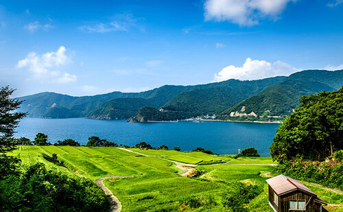 Translation missing: ja.board.image.alt.https: