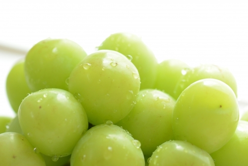 Translation missing: ja.board.image.alt.https: