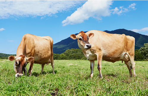 Translation missing: ja.board.image.alt.https: