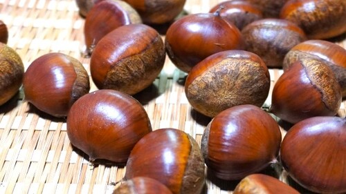 Translation missing: ja.board.image.alt.https: