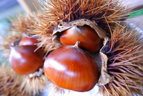 Translation missing: ja.board.image.alt.https: