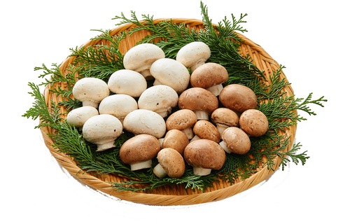 Translation missing: ja.board.image.alt.https: