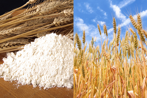 Translation missing: ja.board.image.alt.https: