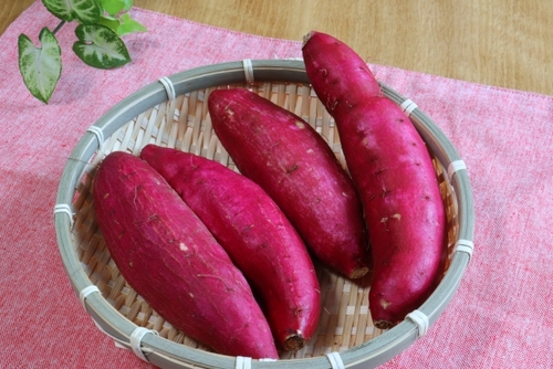 Translation missing: ja.board.image.alt.https: