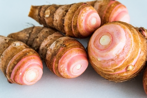 Translation missing: ja.board.image.alt.https: