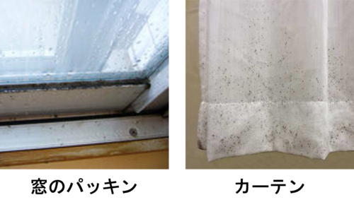 Translation missing: ja.board.image.alt.https: