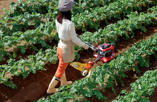 Translation missing: ja.board.image.alt.https: