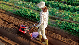 Translation missing: ja.board.image.alt.https: