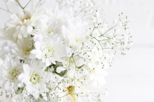 Translation missing: ja.board.image.alt.https: