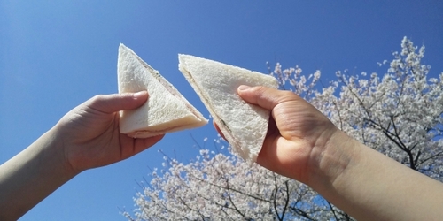 Translation missing: ja.board.image.alt.https: