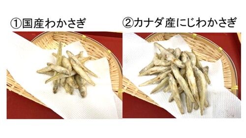 Translation missing: ja.board.image.alt.https: