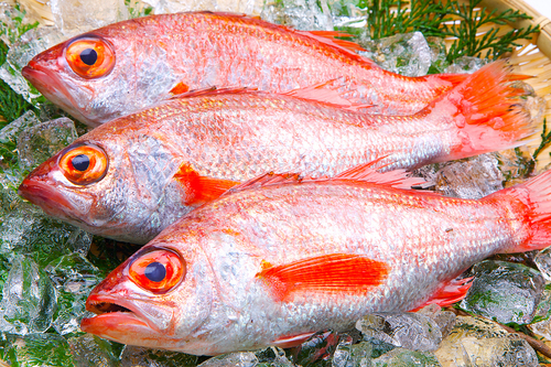 Translation missing: ja.board.image.alt.https: