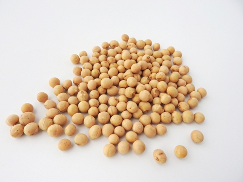 Translation missing: ja.board.image.alt.https: