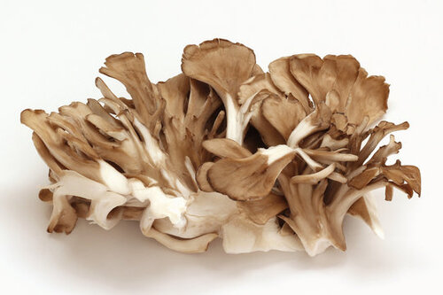 Translation missing: ja.board.image.alt.https: