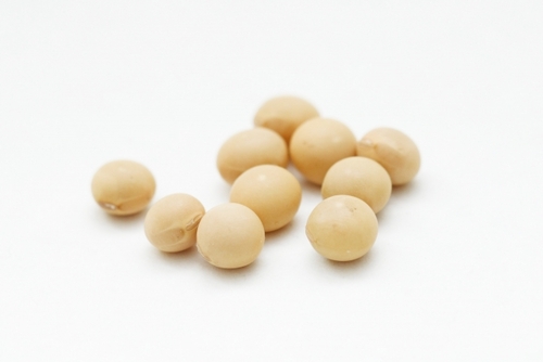 Translation missing: ja.board.image.alt.https: